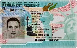 green-card-holders-265.jpeg