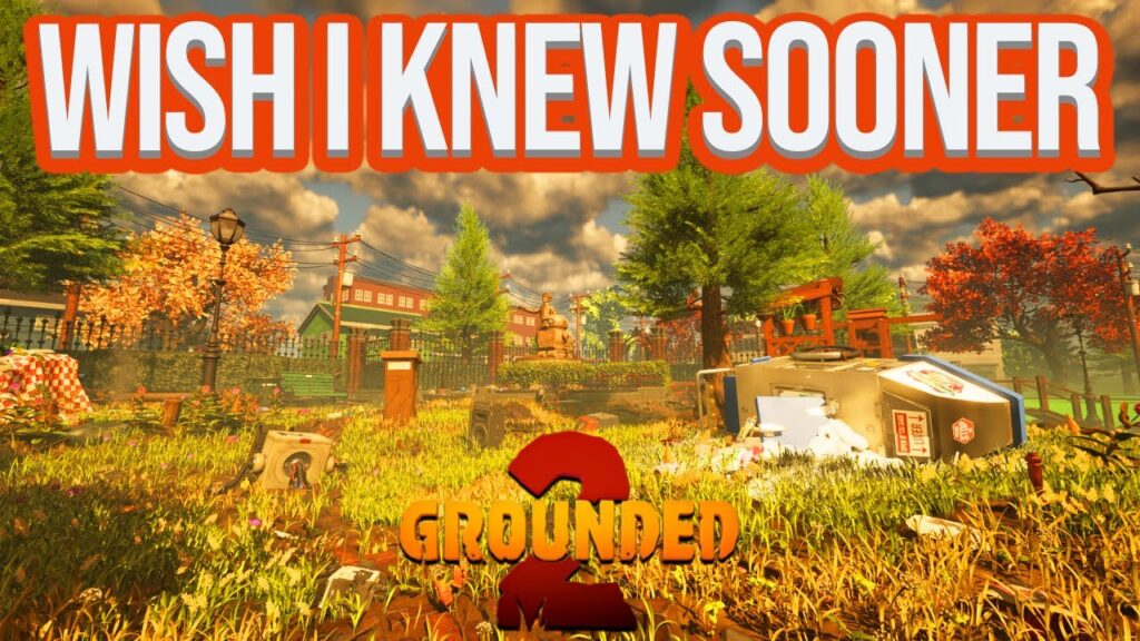 grounded-2-21.jpeg