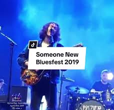 hozier-bluesfest-169.jpeg
