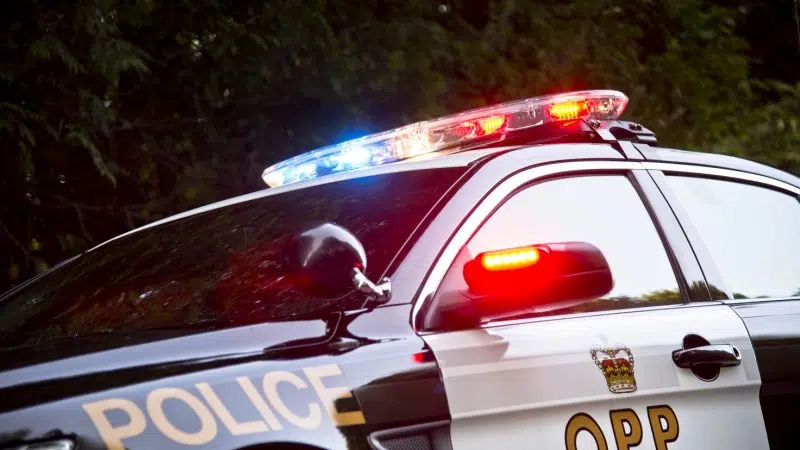 huntsville-opp-147.webp