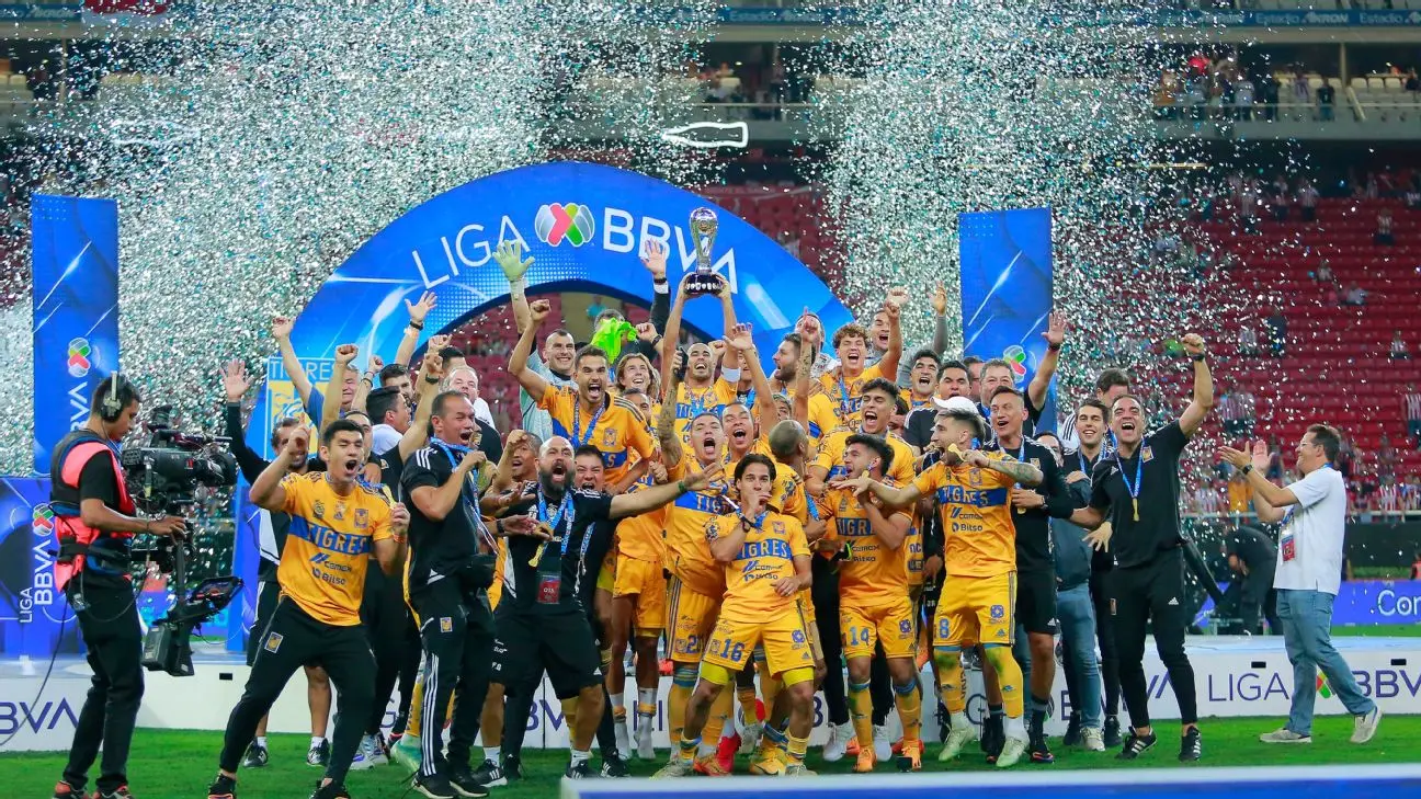 The Significance of Liga MX in Mexican Football image 1