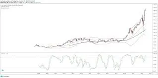 lulu-stock-190.jpeg