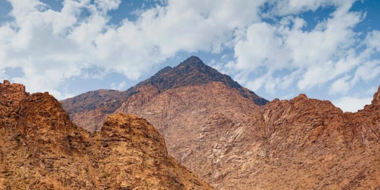 mount-sinai-65.jpeg