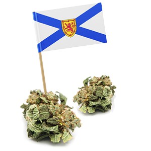 nova-scotia-108.jpeg