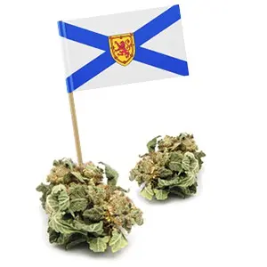 nova-scotia-108.jpeg