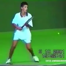 The Rise and Triumph of Novak Djokovic in Tennis image 1