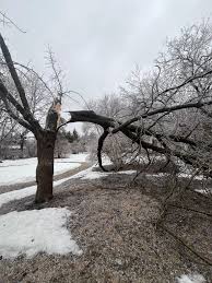 orillia-weather-166.jpeg