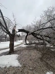 orillia-weather-166.jpeg