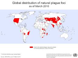 pneumonic-plague-41.jpeg