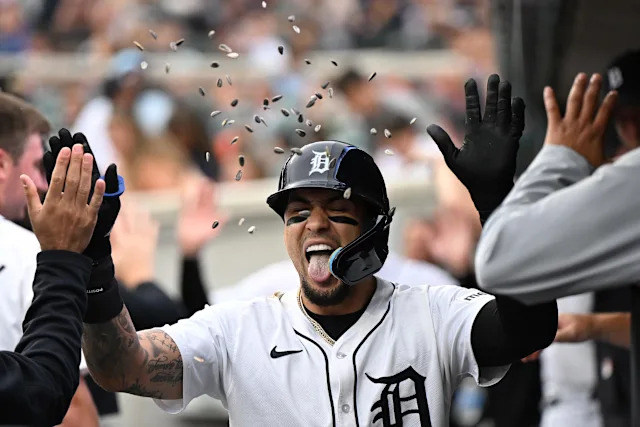 rays-vs-tigers-65.jpeg