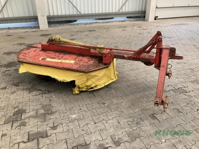 roe-165.jpeg