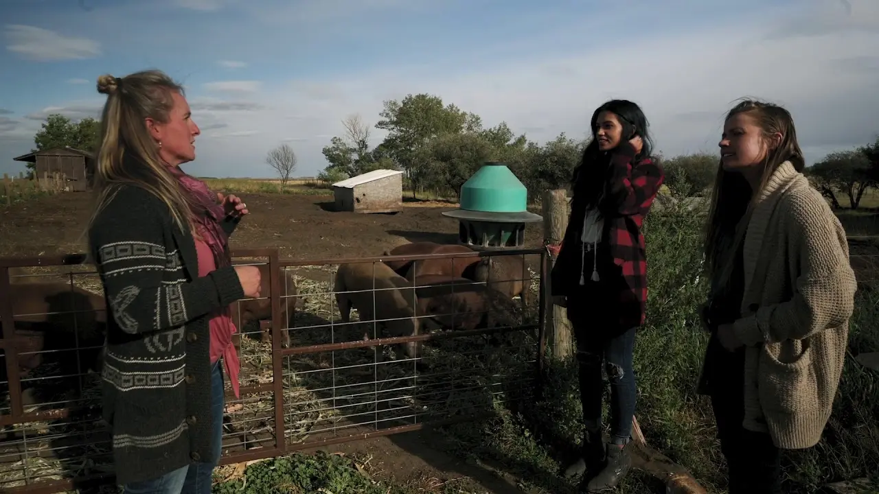 Exploring the Significance of Saskatoon Farm in Saskatchewan image 1