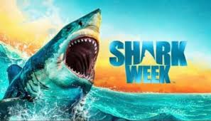shark-week-2025-59.jpeg