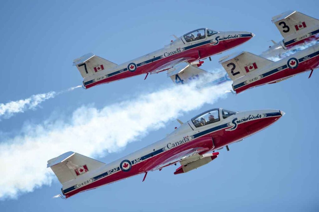 snowbirds-188.jpeg