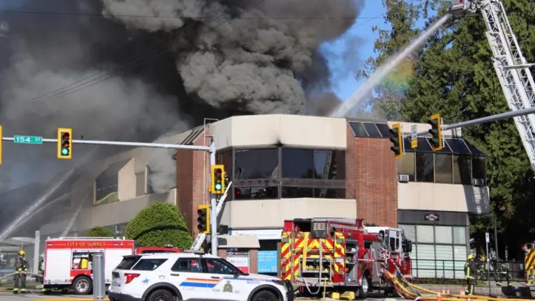 Understanding the Recent Surrey Fire Incidents image 1