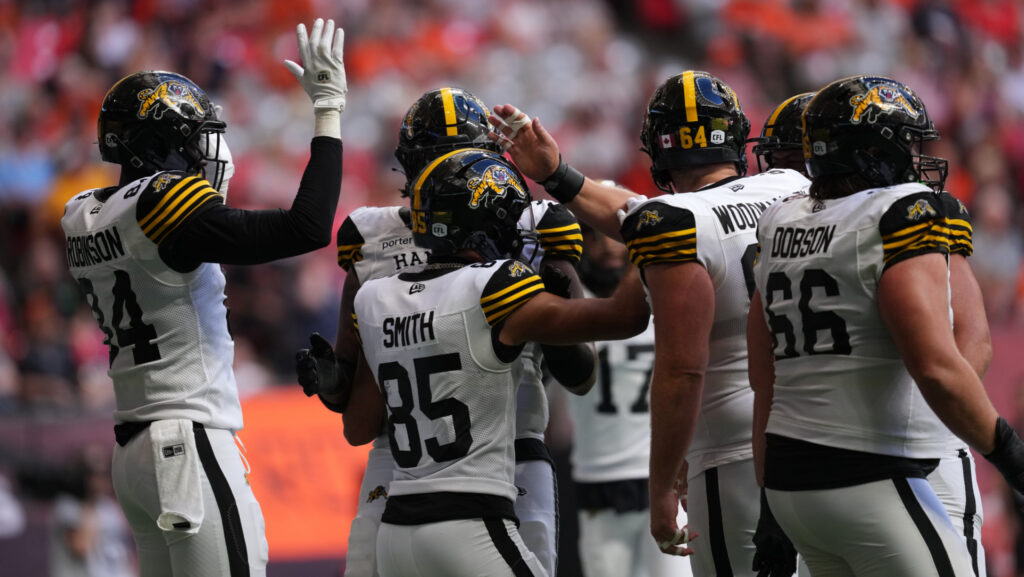 tiger-cats-vs-lions-6.jpeg