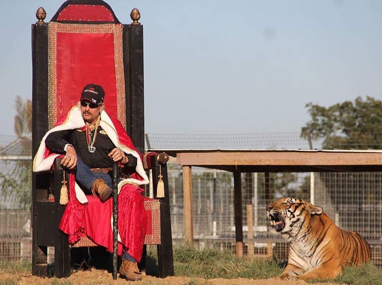 tiger-king-178.jpeg