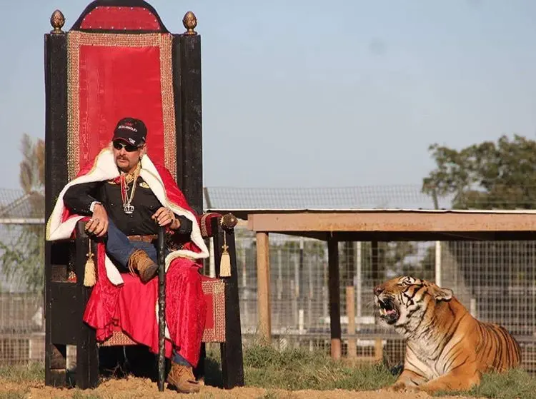tiger-king-178.jpeg