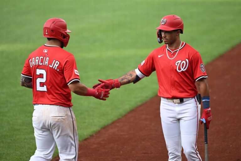 tigers-vs-nationals-119.jpeg