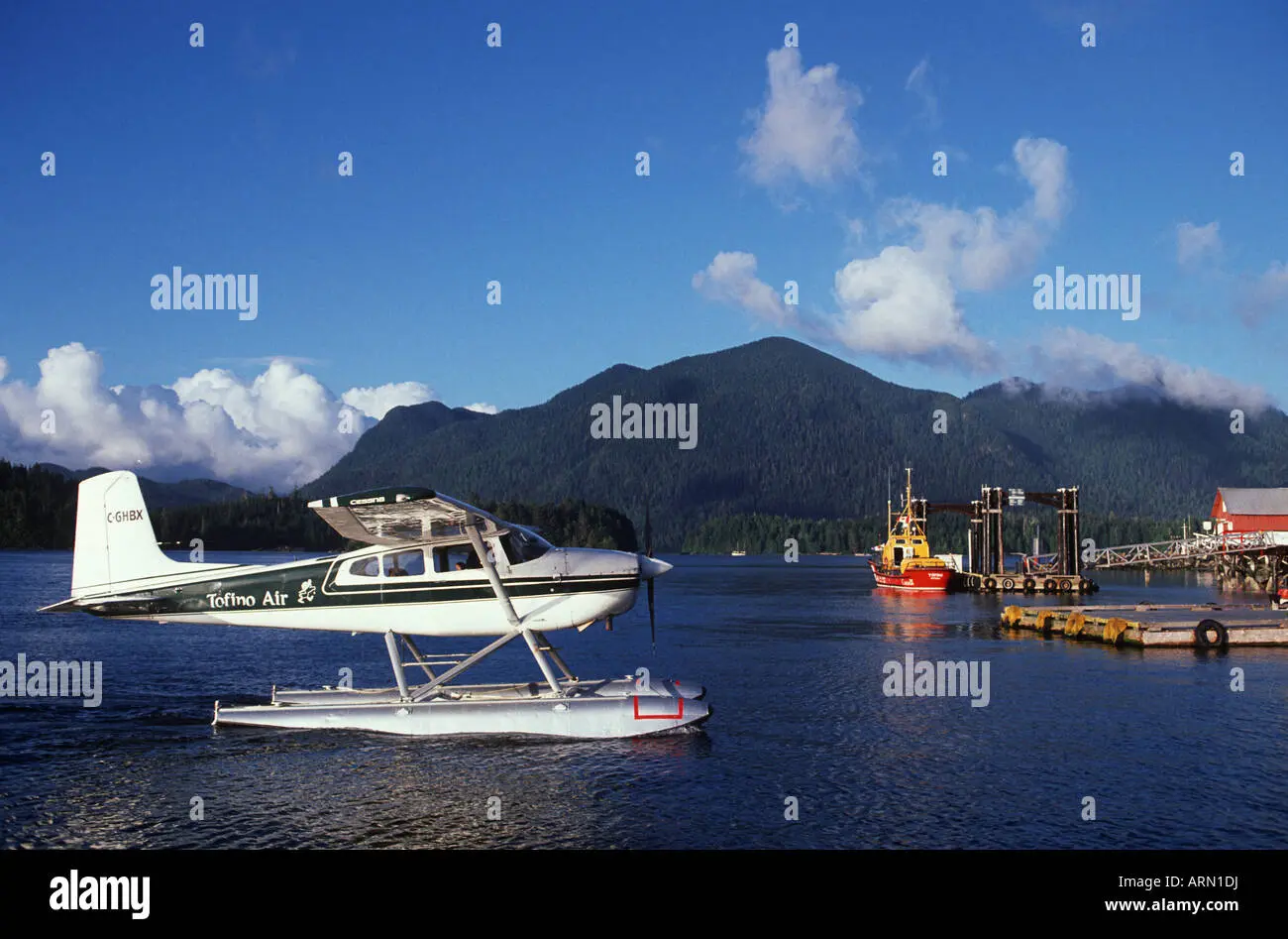 Exploring Tofino: The Natural Beauty of British Columbia