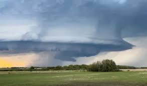 weathernetwork-214.jpeg