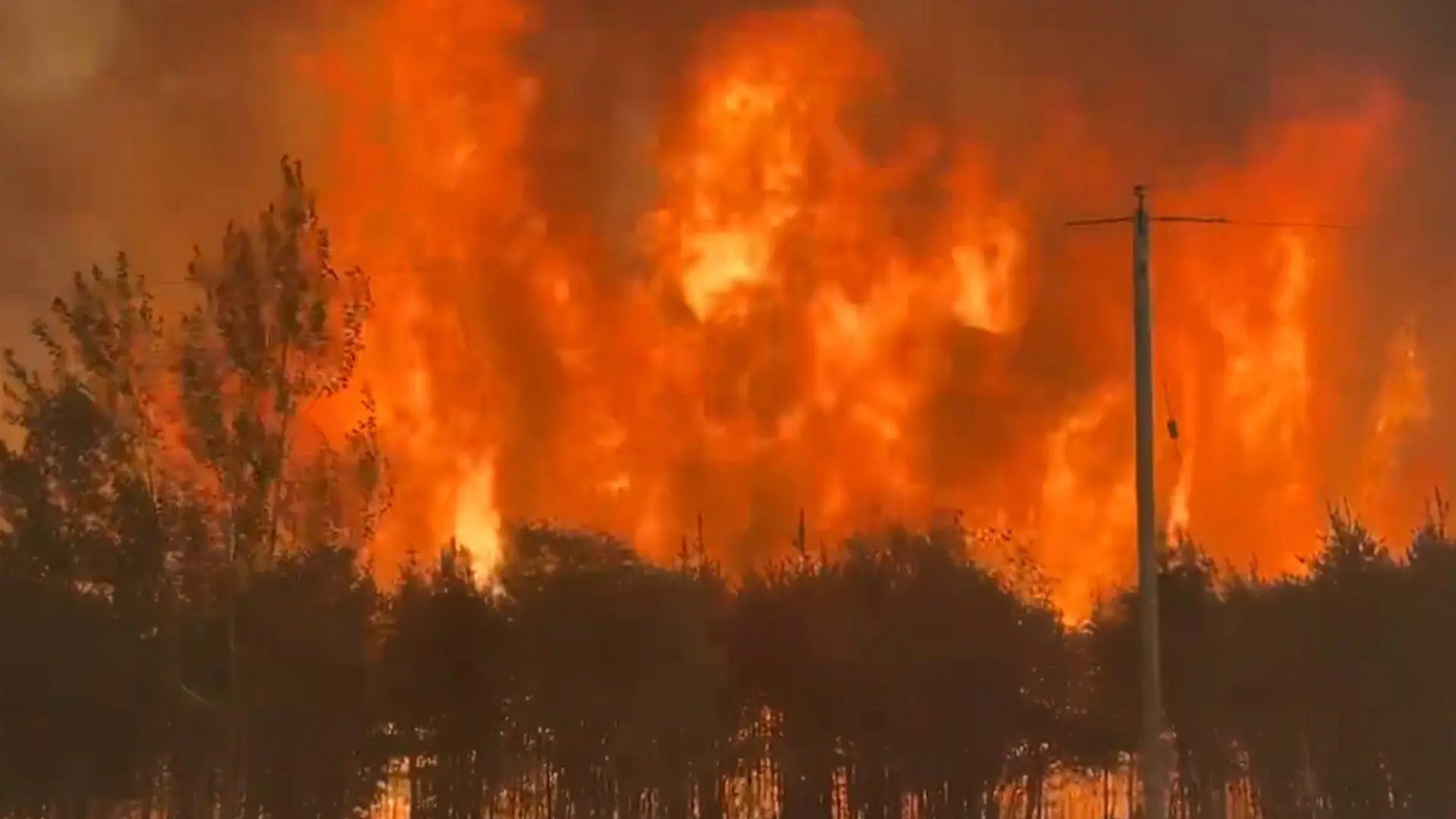 Understanding the Impact of Wildfires in Manitoba image 1