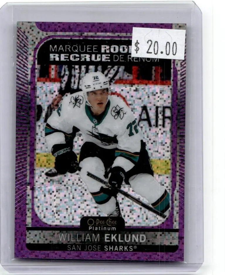William Eklund: The Promising Future of NHL