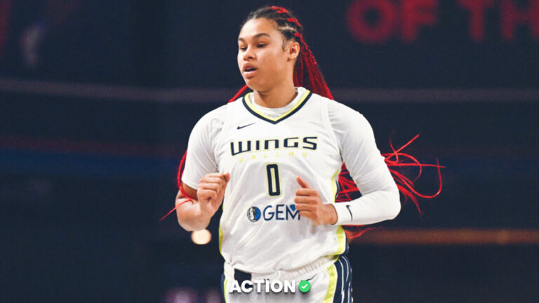 wings-vs-sky-98.jpeg