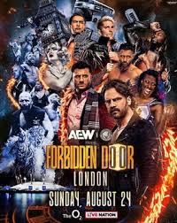 aew-forbidden-door-2025-40.jpeg