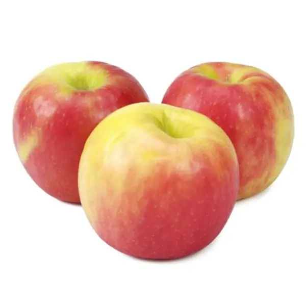 L’importance de la pomme dans notre alimentation