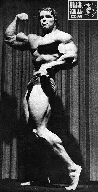 arnold-schwarzenegger-166.jpeg