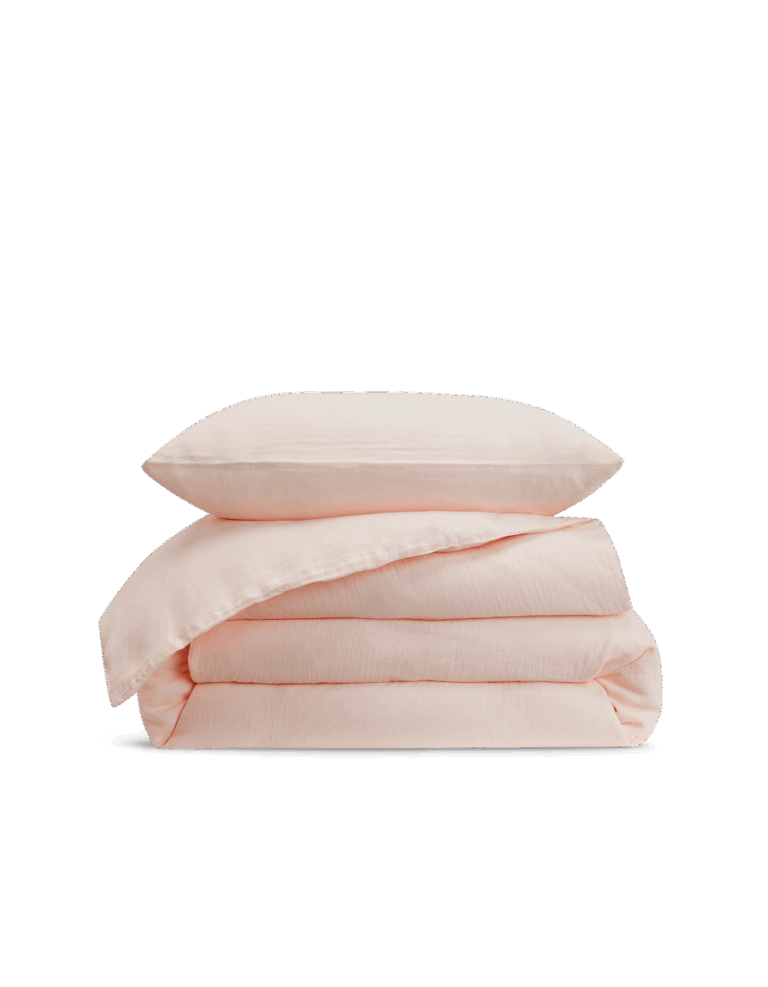 bonsoir-bonsoir-171.png