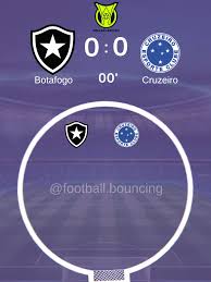 botafogo-vs-cruzeiro-187.jpeg