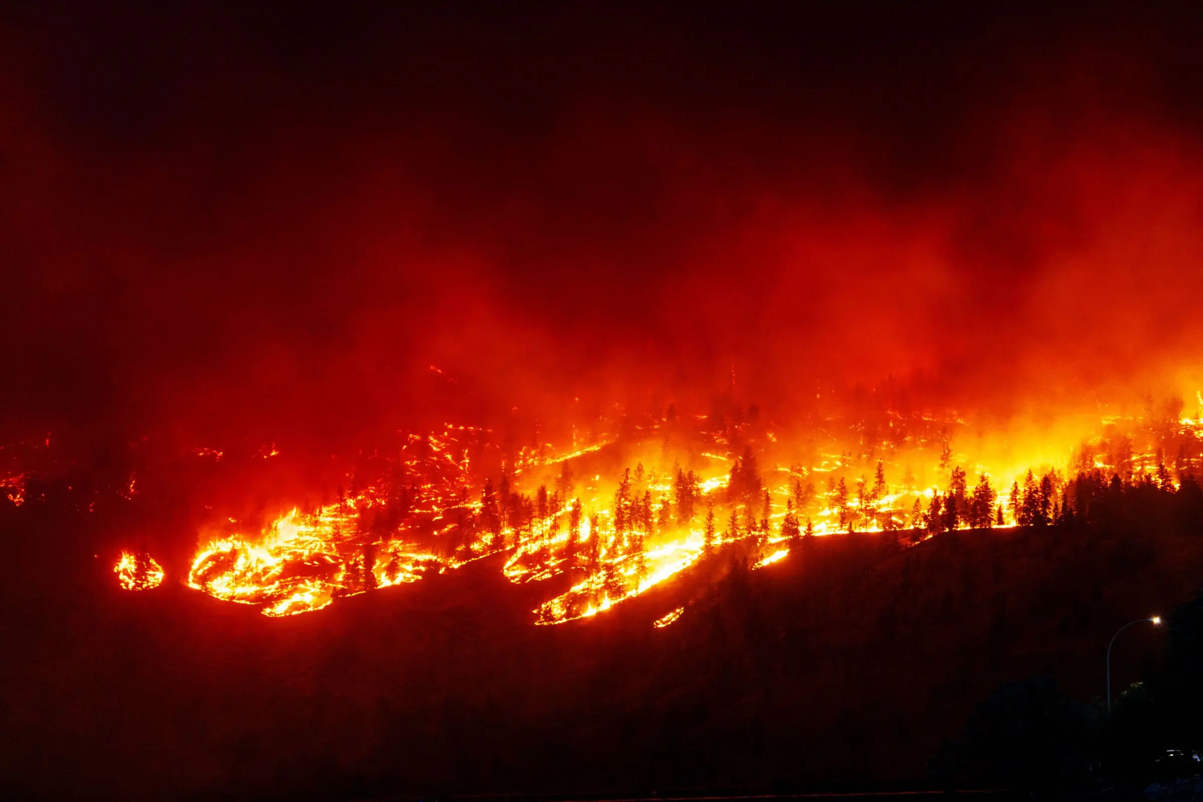 Understanding the Canada Wildfires of 2023 image 1