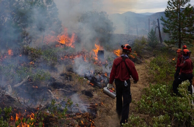 castanet-penticton-170.jpeg