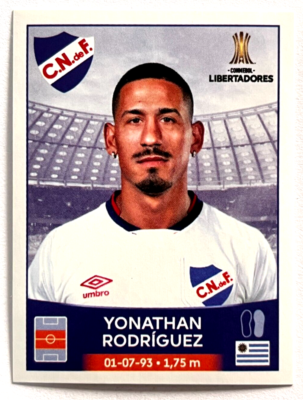 conmebol-libertadores-132.png