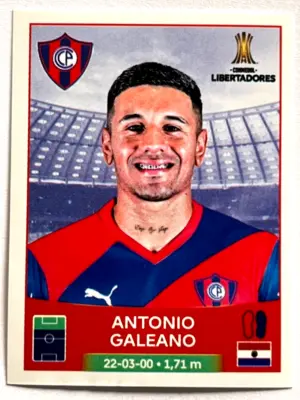 conmebol-libertadores-184.png