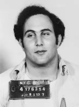 david-berkowitz-123.jpeg