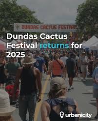 dundas-cactus-festival-73.jpeg