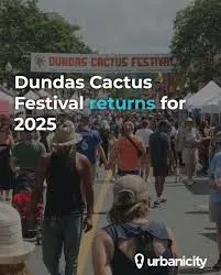 dundas-cactus-festival-73.jpeg