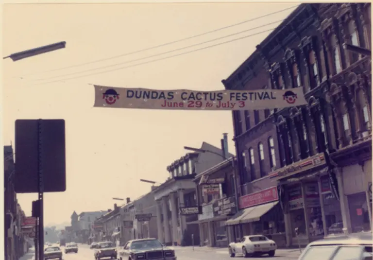 dundas-cactus-festival-94.png