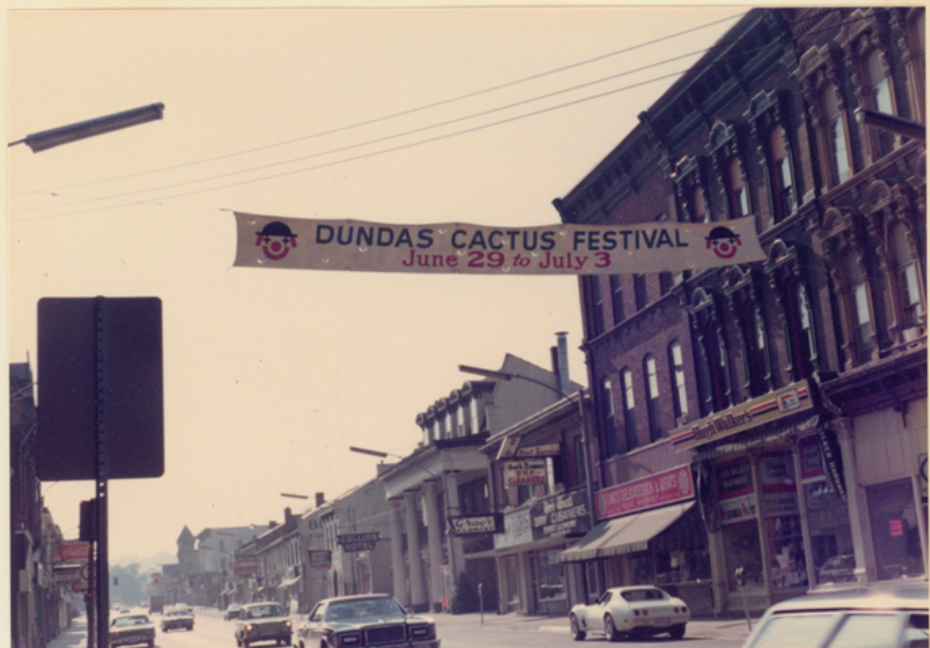 dundas-cactus-festival-94.png