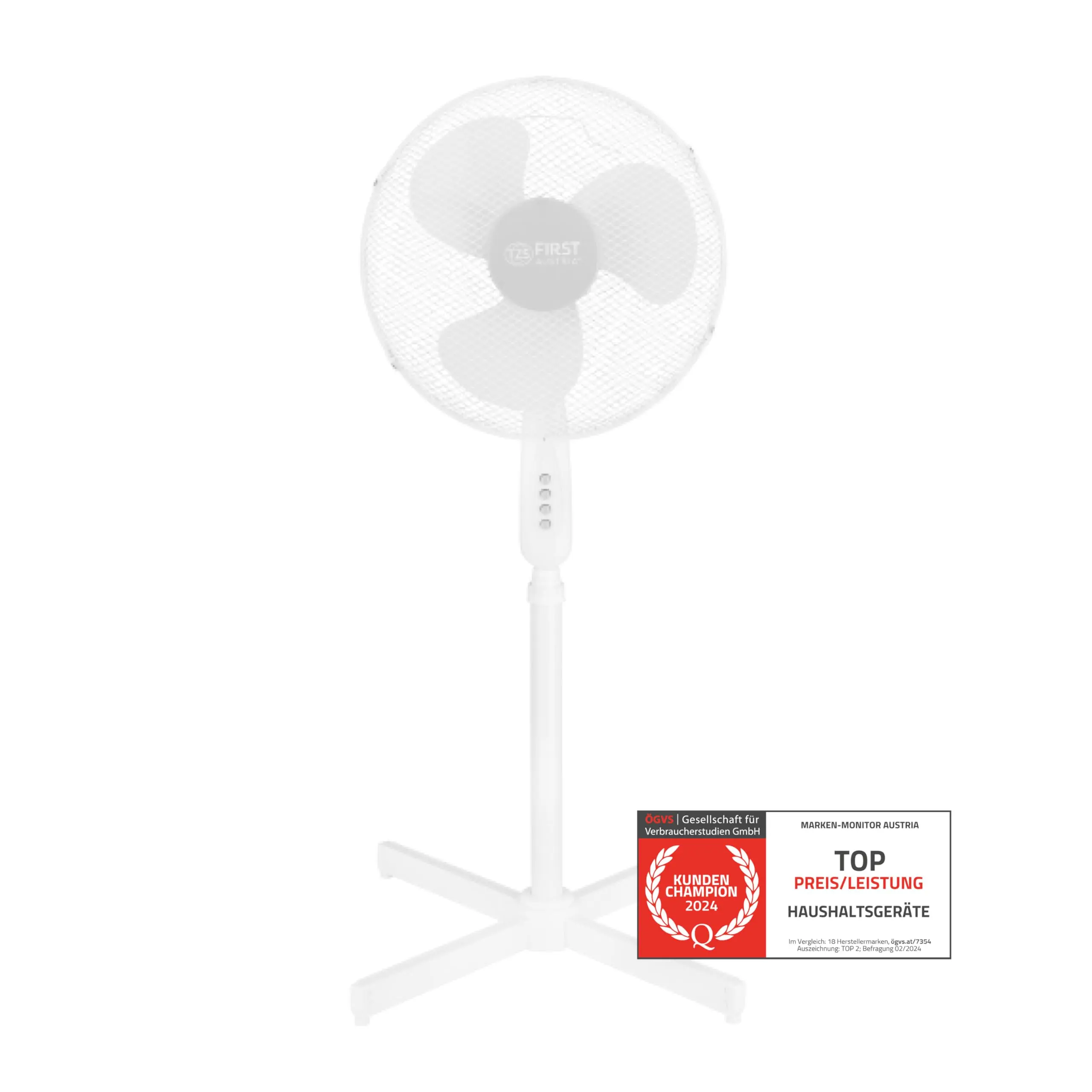 The Indispensable Role of Fans Across Different Arenas image 1