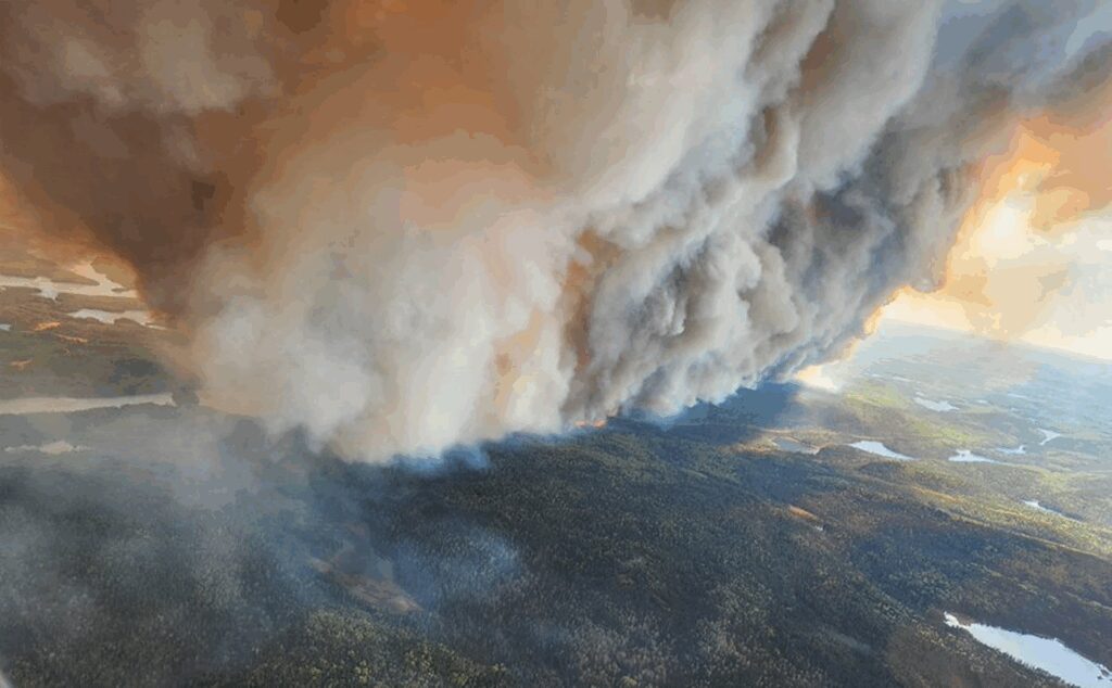 forest-fires-ontario-8.jpeg