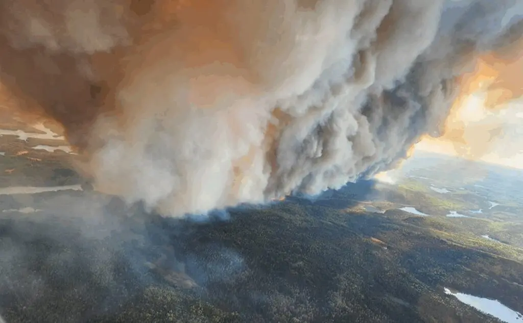 forest-fires-ontario-8.jpeg