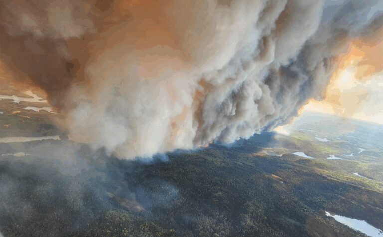 forest-fires-ontario-8.jpeg