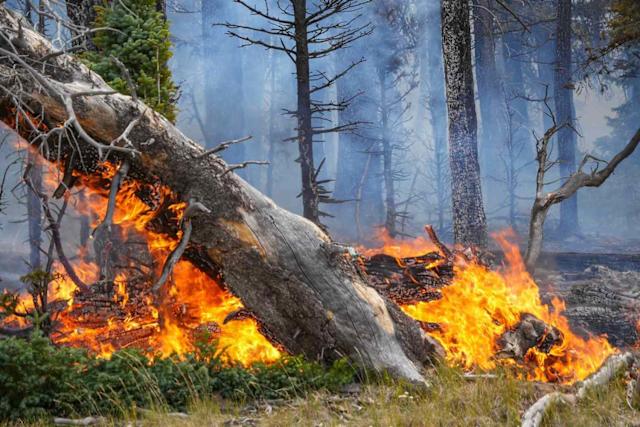 grand-canyon-fire-154.jpeg