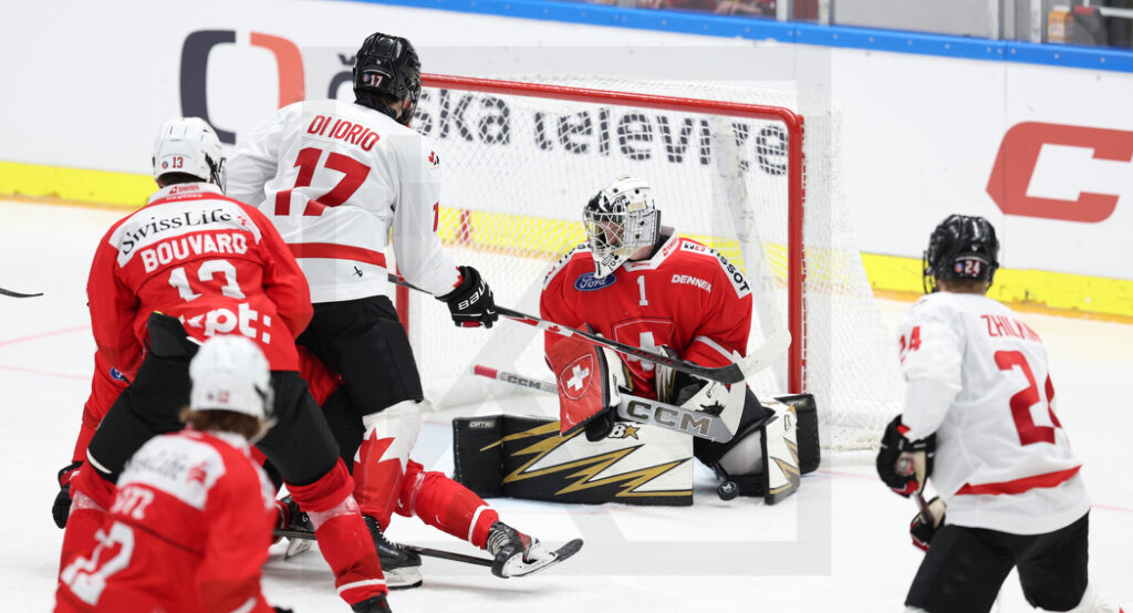 hlinka-gretzky-cup-117.jpeg