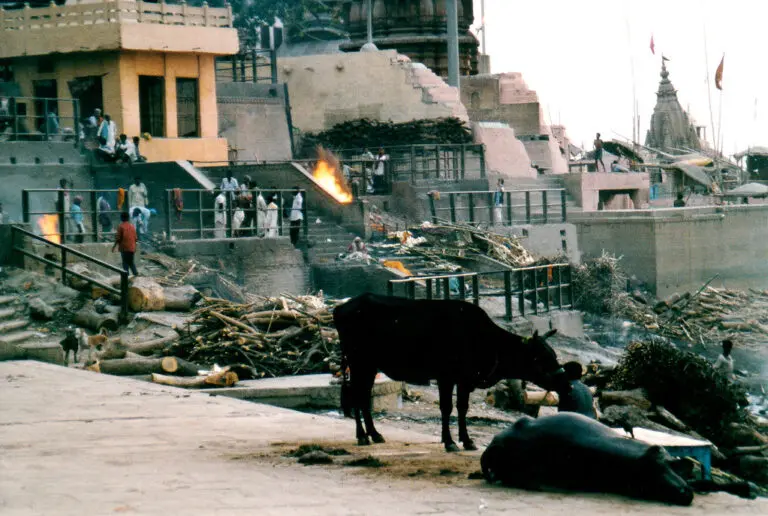 inde-66.jpeg