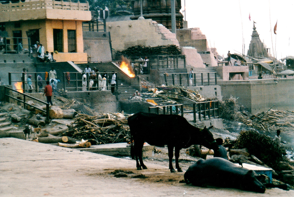 inde-66.jpeg
